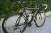 Immagine 122683.jpg