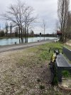 IMG_1894.jpeg