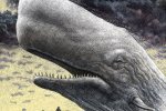 mobydick.jpg