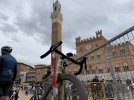 IMG_9511.jpeg