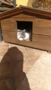 IMG-20240307-WA0002.jpeg