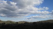 IMG_1755.JPG