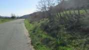 IMG_1756.JPG