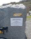 IMG_20240312_172532.jpg