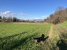 IMG_1952.jpeg