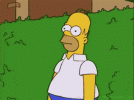 IMG_4416.gif