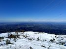 IMG_20240307_142226.jpg