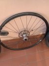 IMG_0399.jpeg