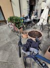 IMG_20240323_100020.jpg
