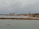 IMG_20240323_172257275.jpg