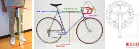 oldbici-inseam-measurements-size-4.jpg