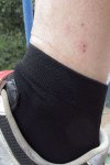 IMG_1759.jpg