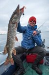 89524392-il-pescatore-felice-tiene-il-punto-nord-esox-lucius-il-pesce-è-di-circa-2-3-kg-5lb-il...jpg