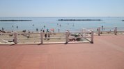IMG_1906.JPG IMG_1906.JPG