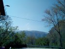 IMG_20240414_135747.jpg