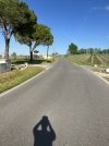 IMG_2048.jpeg