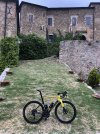 IMG_8376.jpeg