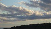 IMG_2015.JPG