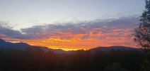 20240505_060834.jpg 20240505_060834.jpg