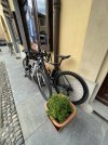 IMG_4292.jpeg