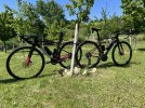 IMG_5709.jpeg