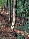 20240511_161901.jpg 20240511_161901.jpg