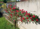 20240518_180329.jpg