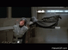 w6GE_D.gif