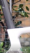 1000010078.png