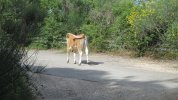 IMG_2097.JPG