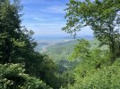 IMG_2173.jpeg