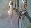 atala_09.jpg
