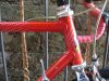 colnago rossa 006.jpg