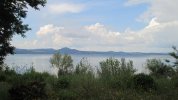 IMG_2167.JPG