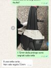 IMG_0394.jpeg