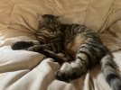 IMG_6534.jpeg