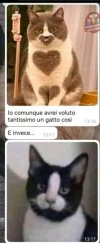 Screenshot_20240607_044219_WhatsApp.jpg