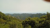 IMG-20240608-WA0008.jpeg