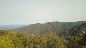 IMG-20240608-WA0010.jpeg