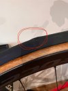 IMG_1459.jpeg