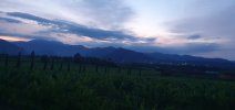 20240616_050827.jpg 20240616_050827.jpg