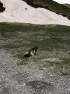 IMG_8836.jpeg