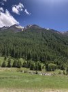 IMG_8826.jpeg