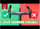 Immagine 2024-06-19 112255.jpg Immagine 2024-06-19 112255.jpg