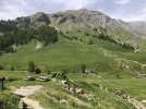 IMG_8887.jpeg