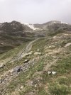 IMG_8906.jpeg