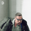 200w (1).gif 200w (1).gif