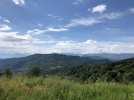 IMG_2137.jpeg