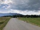 IMG_2101.jpeg
