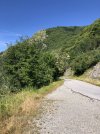 IMG_8955.jpeg